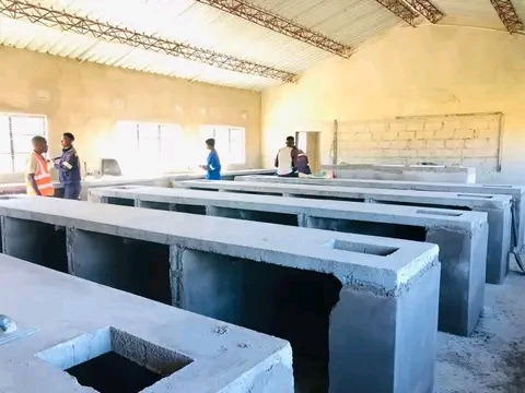 child_abuse checkup camp
